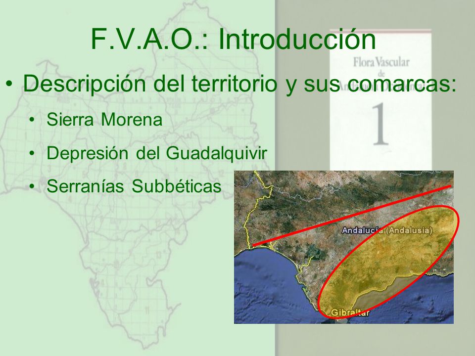 F.V.A.O.: Introducción Descripción del territorio y sus comarcas: