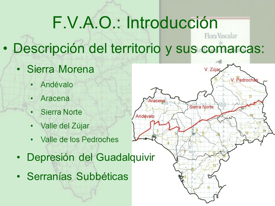 F.V.A.O.: Introducción Descripción del territorio y sus comarcas: