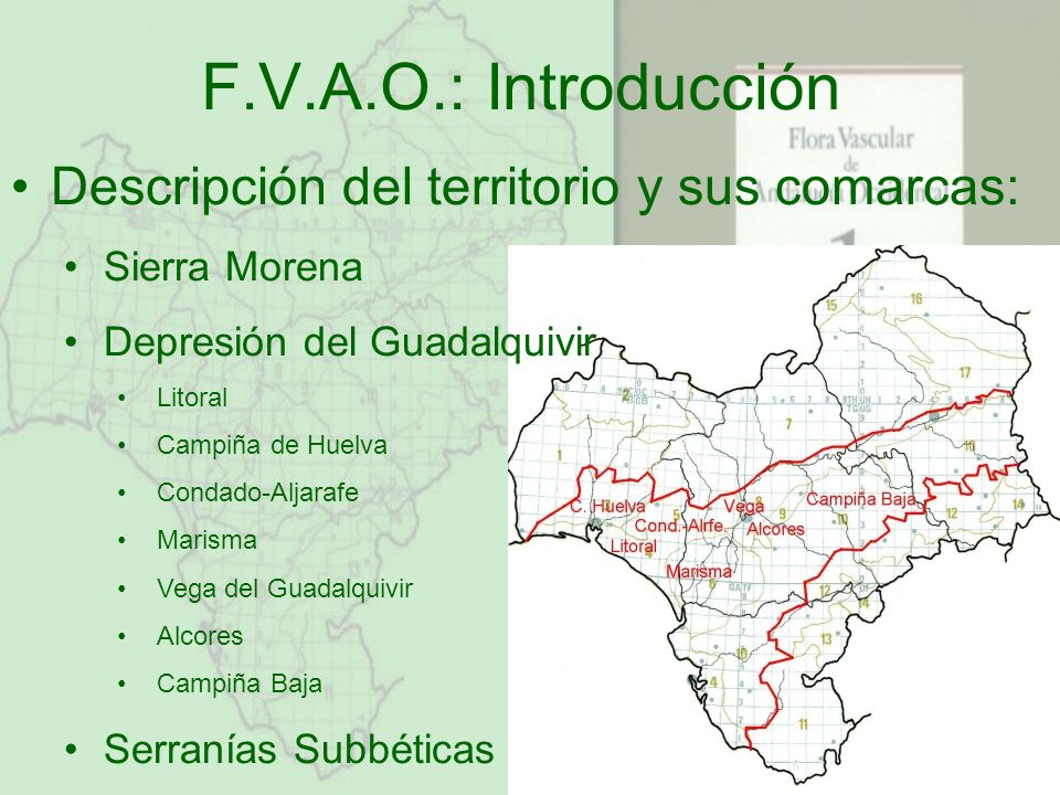 F.V.A.O.: Introducción Descripción del territorio y sus comarcas: