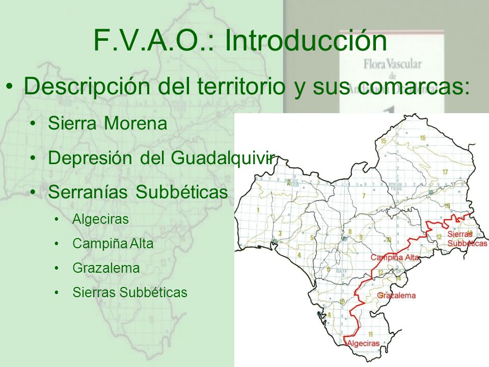 F.V.A.O.: Introducción Descripción del territorio y sus comarcas: