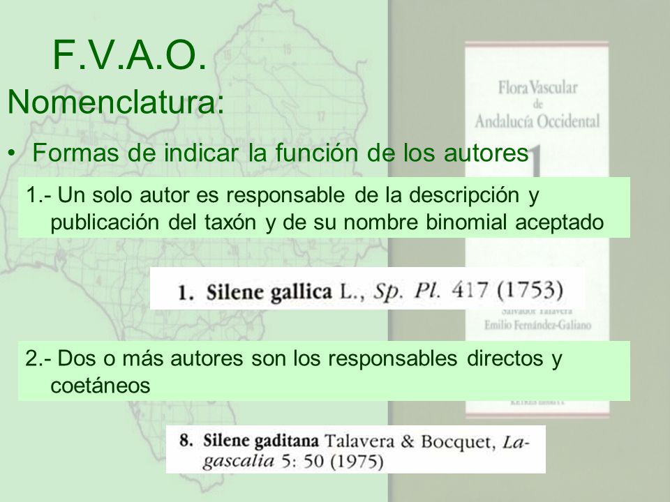 F.V.A.O. Nomenclatura: Formas de indicar la función de los autores