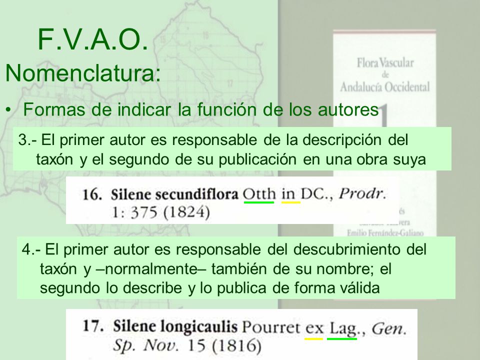 F.V.A.O. Nomenclatura: Formas de indicar la función de los autores