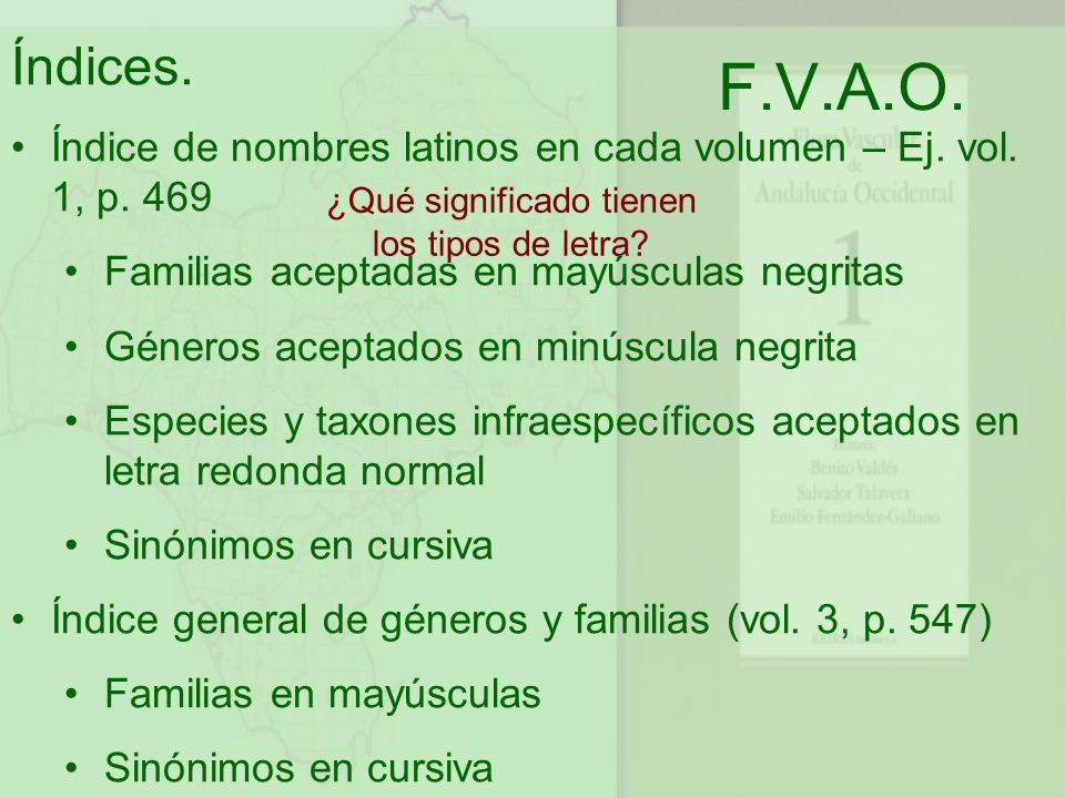 ¿Qué significado tienen los tipos de letra