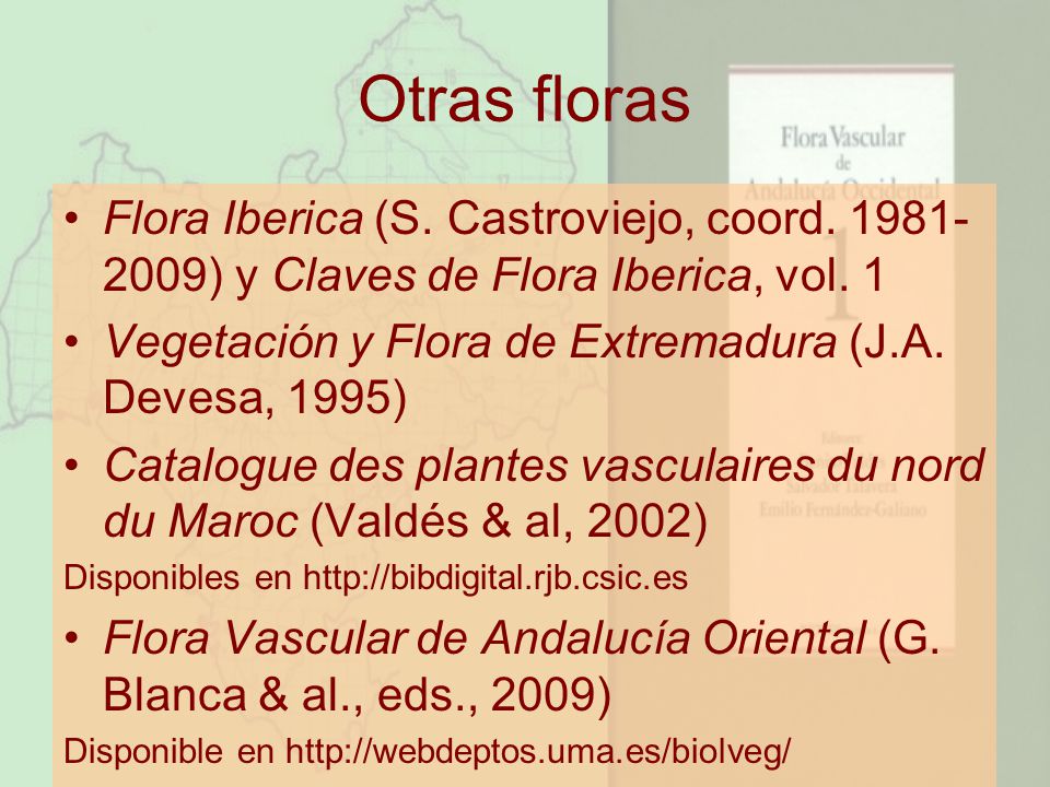 Otras floras Flora Iberica (S. Castroviejo, coord ) y Claves de Flora Iberica, vol. 1.