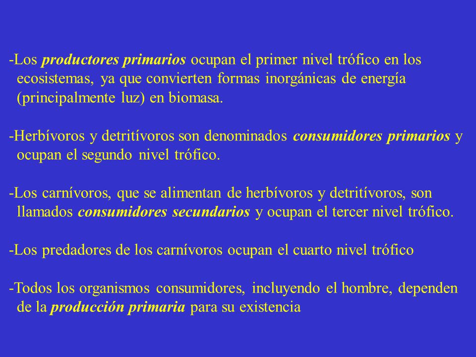 -Los productores primarios ocupan el primer nivel trófico en los