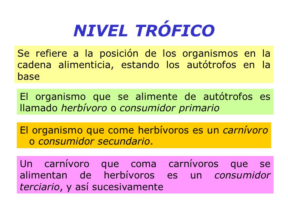 NIVEL TRÓFICO Se refiere a la posición de los organismos en la cadena alimenticia, estando los autótrofos en la base.