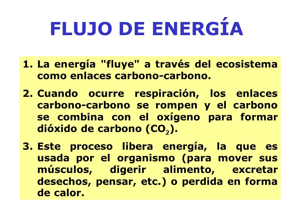 FLUJO DE ENERGÍA La energía fluye a través del ecosistema como enlaces carbono-carbono.