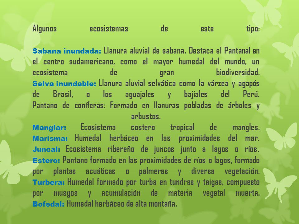 Algunos ecosistemas de este tipo: Sabana inundada: Llanura aluvial de sabana.