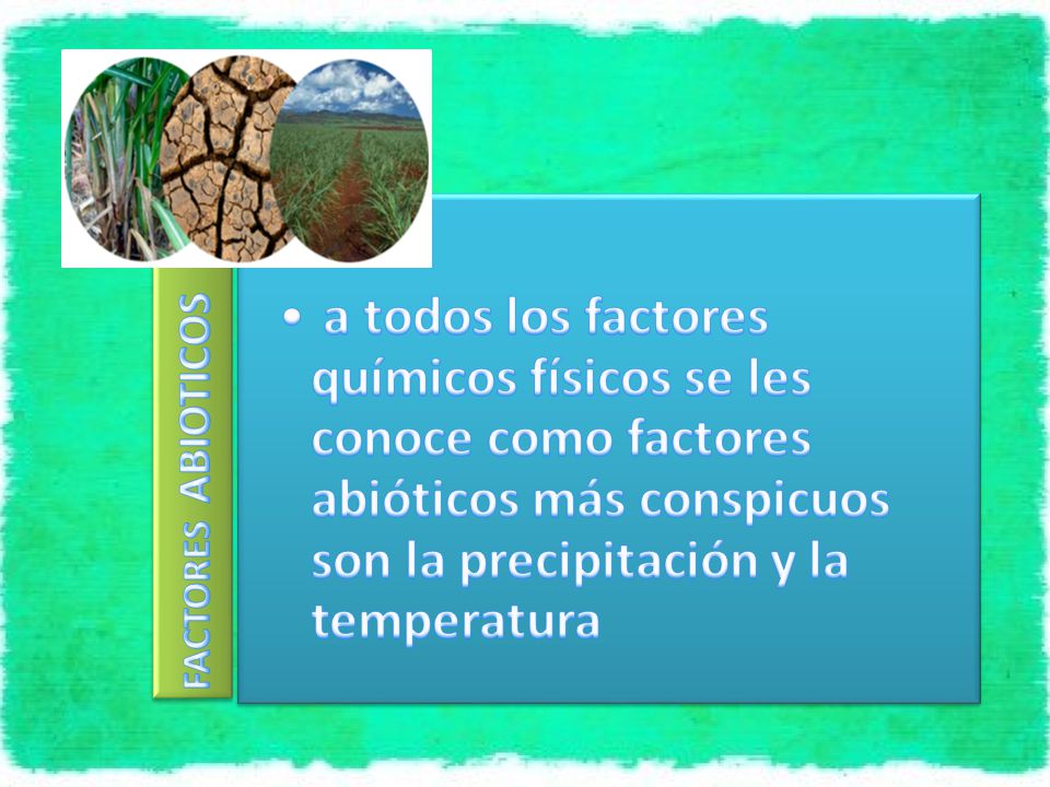 FACTORES ABIOTICOS a todos los factores químicos físicos se les conoce como factores abióticos más conspicuos son la precipitación y la temperatura.