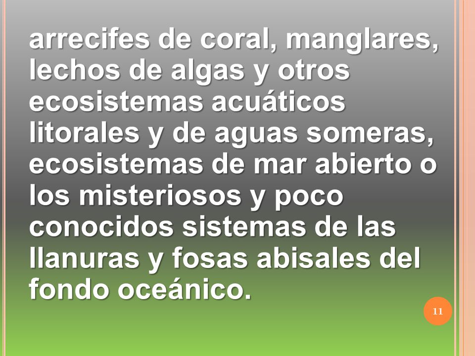 arrecifes de coral, manglares, lechos de algas y otros ecosistemas acuáticos litorales y de aguas someras, ecosistemas de mar abierto o los misteriosos y poco conocidos sistemas de las llanuras y fosas abisales del fondo oceánico.
