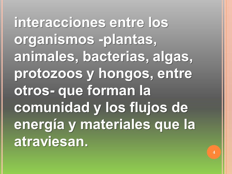 interacciones entre los organismos -plantas, animales, bacterias, algas, protozoos y hongos, entre otros- que forman la comunidad y los flujos de energía y materiales que la atraviesan.