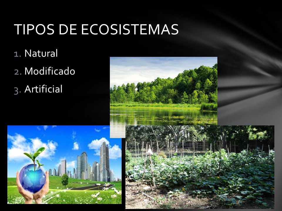 TIPOS DE ECOSISTEMAS Natural Modificado Artificial