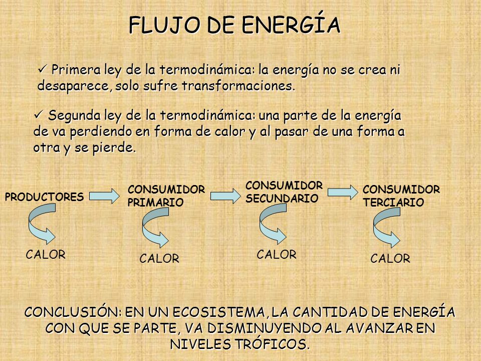FLUJO DE ENERGÍA Primera ley de la termodinámica: la energía no se crea ni desaparece, solo sufre transformaciones.