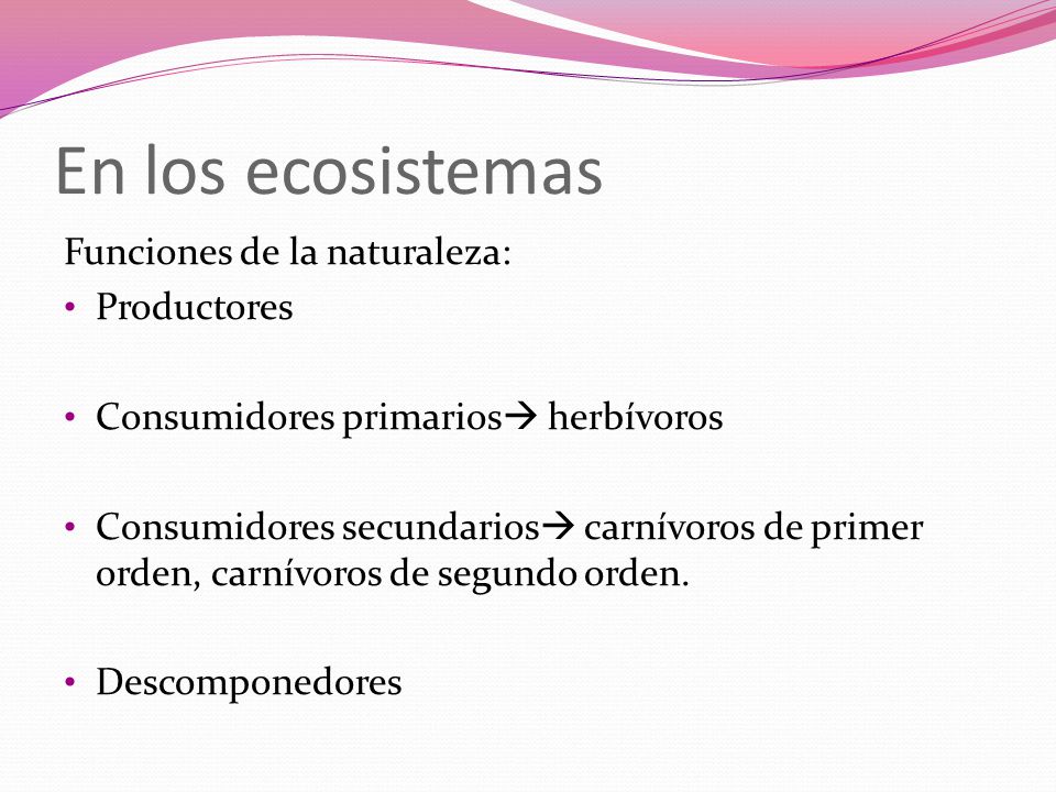 En los ecosistemas Funciones de la naturaleza: Productores