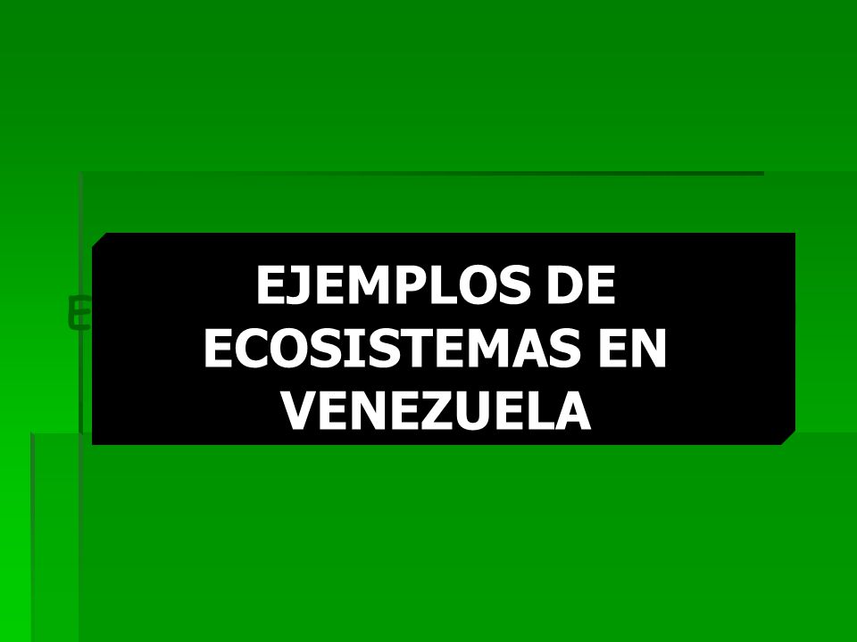 EJEMPLOS DE ECOSISTEMAS EN VENEZUELA