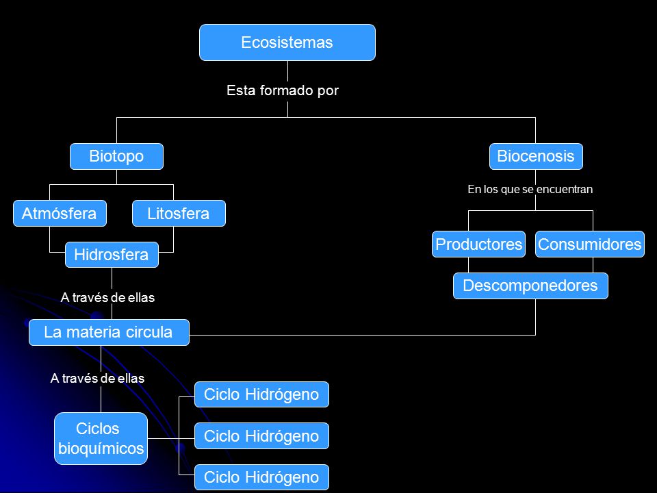 Ecosistemas Biotopo Biocenosis Atmósfera Litosfera Productores