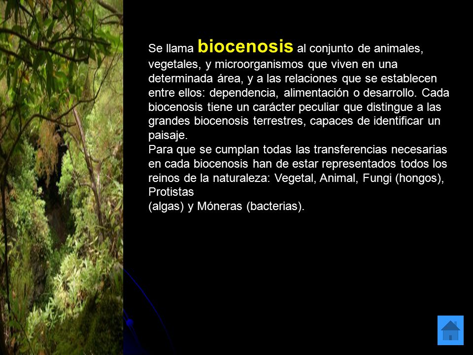 Se llama biocenosis al conjunto de animales, vegetales, y microorganismos que viven en una determinada área, y a las relaciones que se establecen entre ellos: dependencia, alimentación o desarrollo. Cada biocenosis tiene un carácter peculiar que distingue a las grandes biocenosis terrestres, capaces de identificar un paisaje.