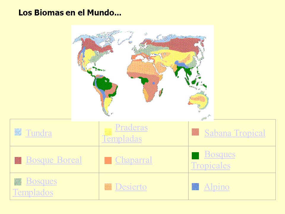 Tundra Praderas Templadas Sabana Tropical Bosque Boreal Chaparral