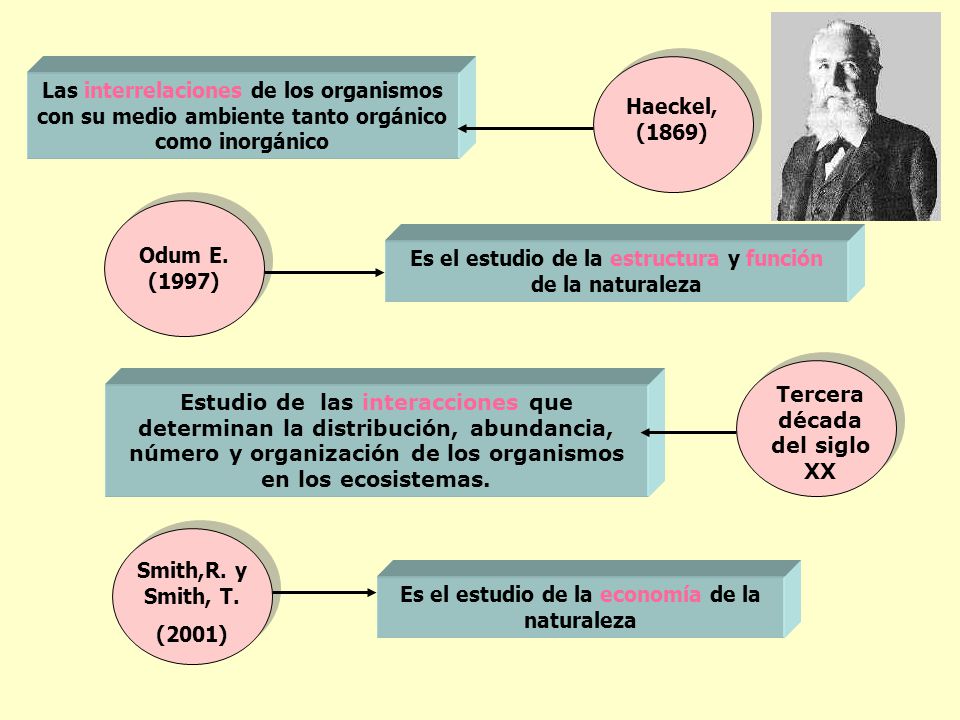 Es el estudio de la estructura y función de la naturaleza