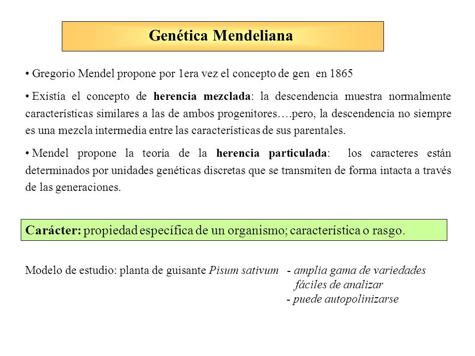 Genética Mendeliana Gregorio Mendel propone por 1era vez el concepto de gen en