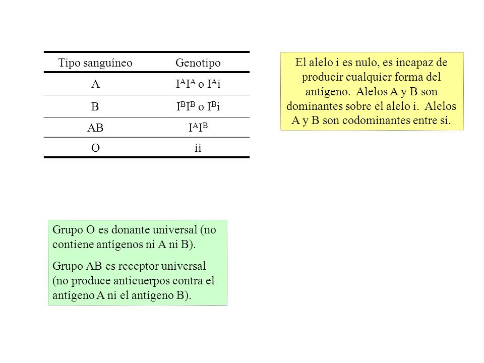 Tipo sanguíneo Genotipo. A. IAIA o IAi. B. IBIB o IBi. AB. IAIB. O. ii.