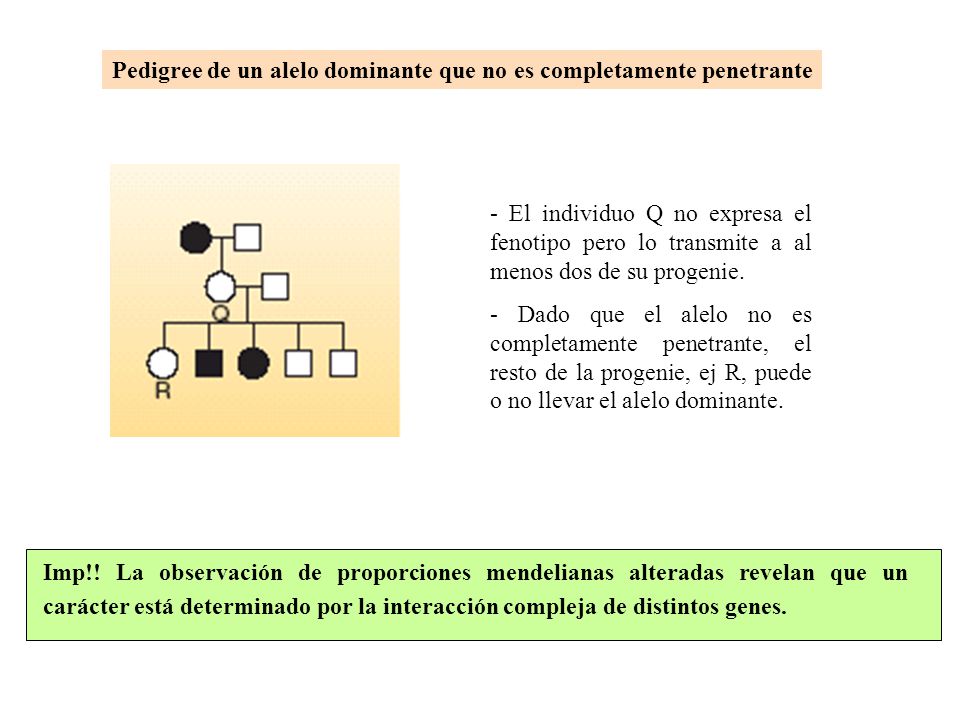 Pedigree de un alelo dominante que no es completamente penetrante