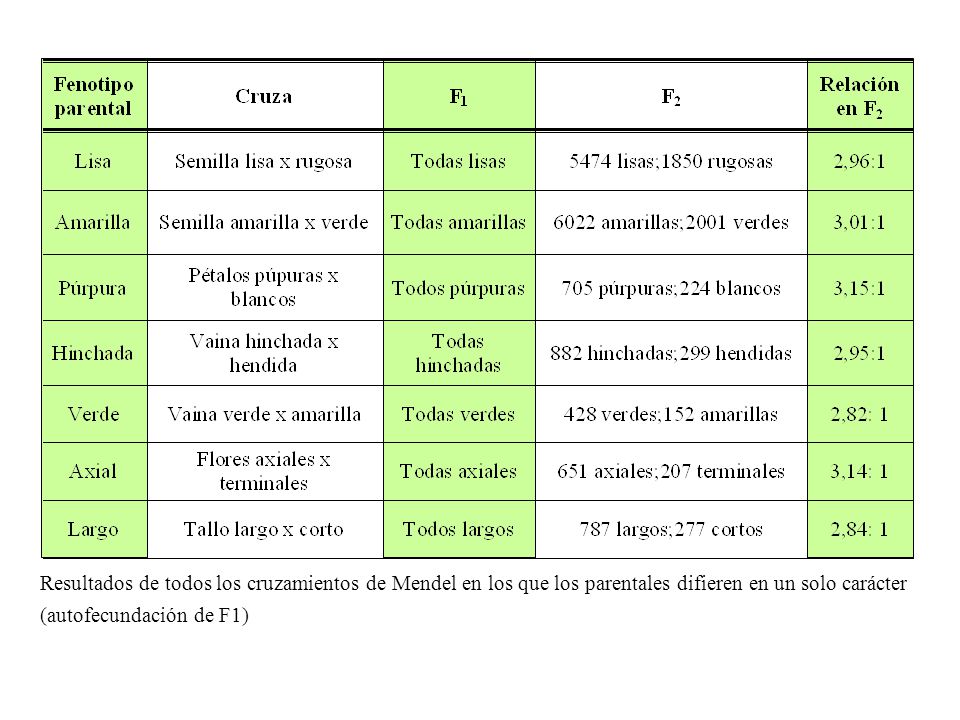 Resultados de todos los cruzamientos de Mendel en los que los parentales difieren en un solo carácter