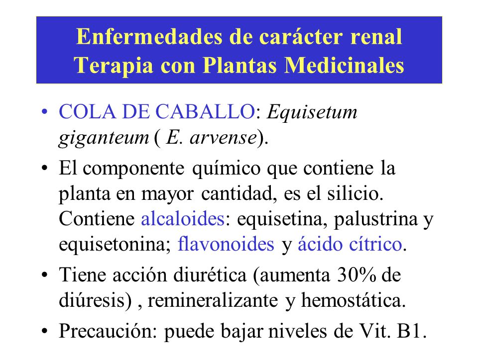 Enfermedades de carácter renal Terapia con Plantas Medicinales