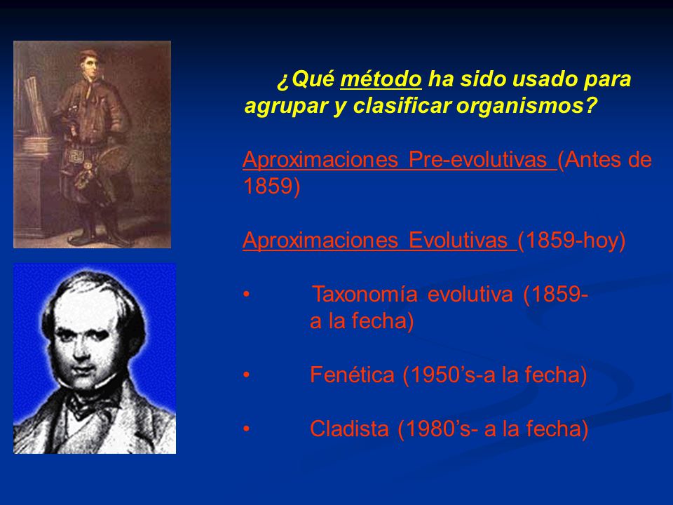 ¿Qué método ha sido usado para agrupar y clasificar organismos
