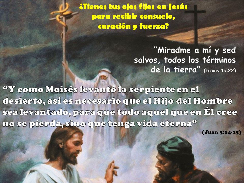 ¿Tienes tus ojos fijos en Jesús para recibir consuelo, curación y fuerza