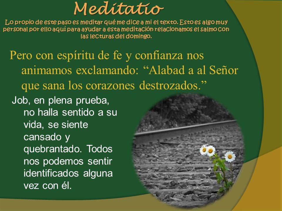 Meditatio Lo propio de este paso es meditar qué me dice a mi el texto
