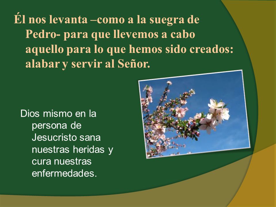 Él nos levanta –como a la suegra de Pedro- para que llevemos a cabo aquello para lo que hemos sido creados: alabar y servir al Señor.