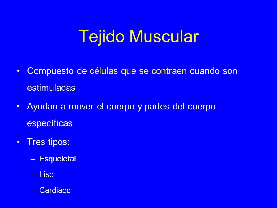 Tejido Muscular Compuesto de células que se contraen cuando son estimuladas. Ayudan a mover el cuerpo y partes del cuerpo específicas.