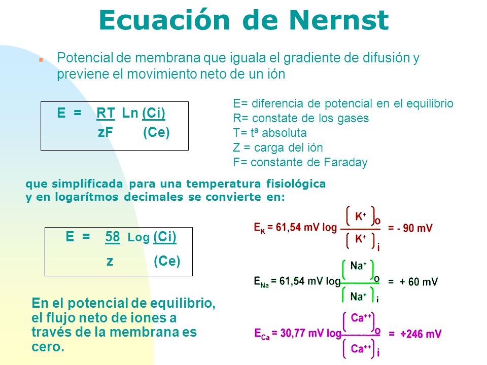 Ecuación de Nernst Potencial de membrana que iguala el gradiente de difusión y previene el movimiento neto de un ión.