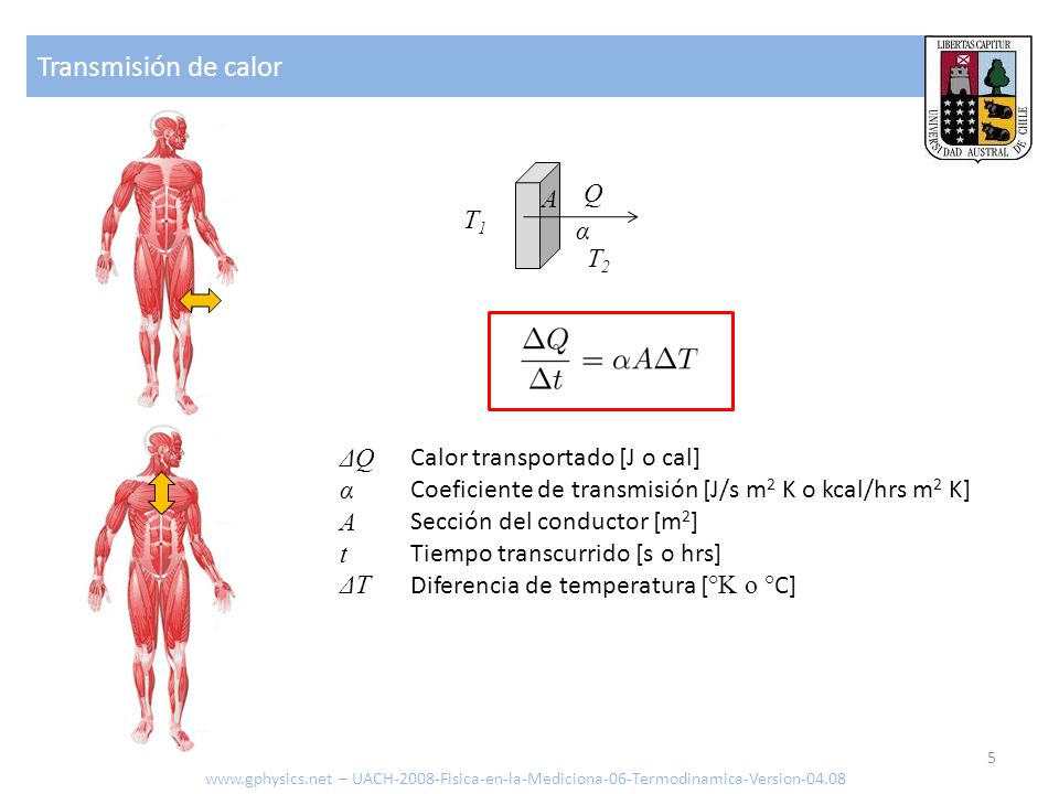 Transmisión de calor T1 T2 A α Q ΔQ α A t ΔT