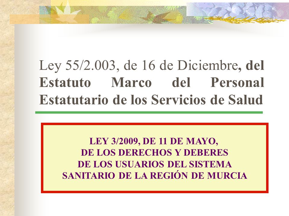 Ley 55/2.003, de 16 de Diciembre, del Estatuto Marco del Personal Estatutario de los Servicios de Salud