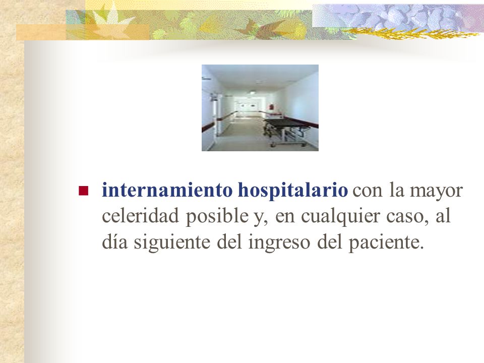 internamiento hospitalario con la mayor celeridad posible y, en cualquier caso, al día siguiente del ingreso del paciente.
