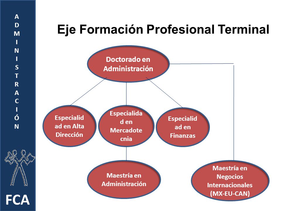 FCA Eje Formación Profesional Terminal Doctorado en Administración A D