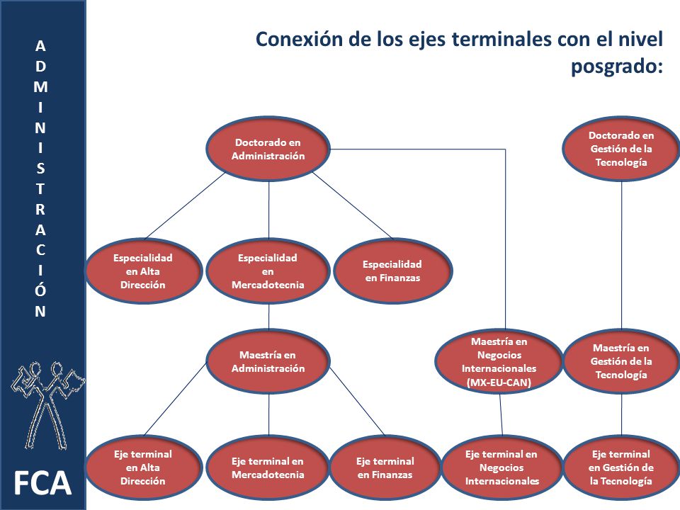 FCA Conexión de los ejes terminales con el nivel posgrado: A D M I N S