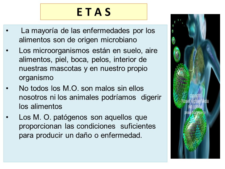 E T A S La mayoría de las enfermedades por los alimentos son de origen microbiano.