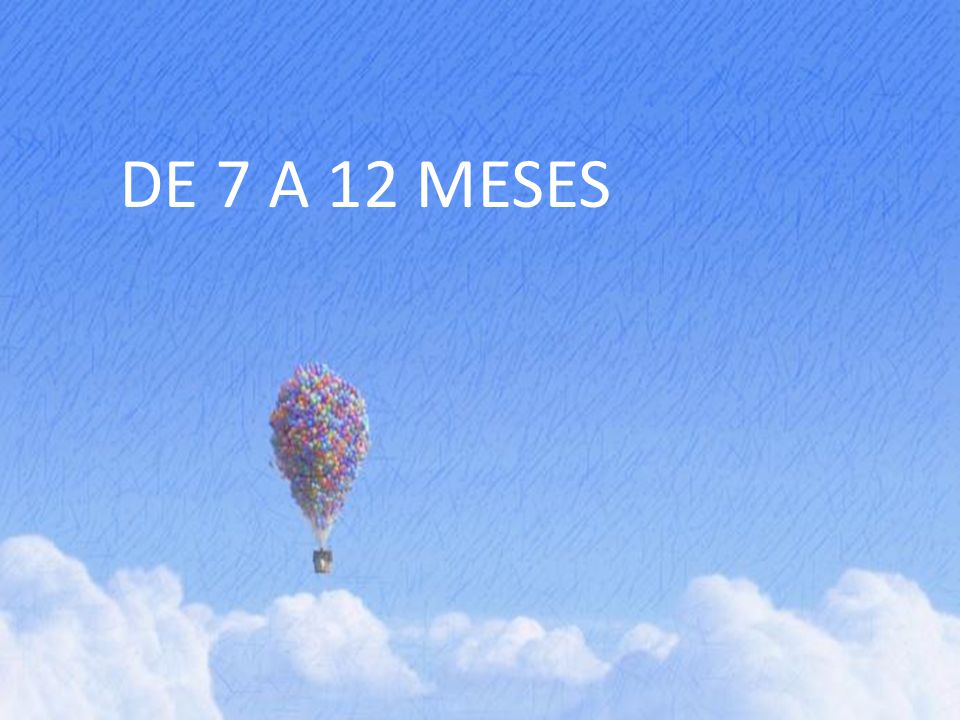 DE 0 A 6 MESES DE 7 A 12 MESES