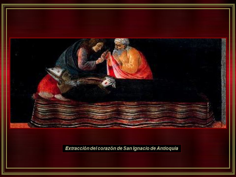 Extracción del corazón de San Ignacio de Antioquia