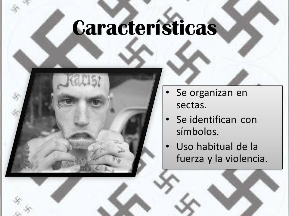 Características Se organizan en sectas. Se identifican con símbolos.