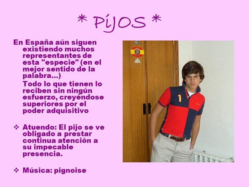 * PiJOS * En España aún siguen existiendo muchos representantes de esta especie (en el mejor sentido de la palabra...)