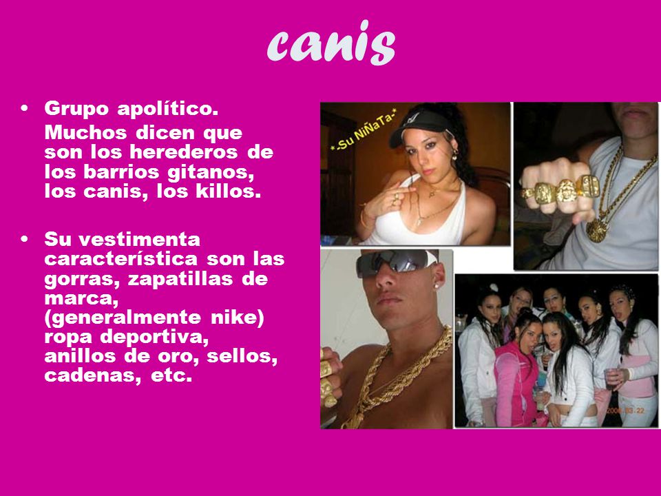 canis Grupo apolítico. Muchos dicen que son los herederos de los barrios gitanos, los canis, los killos.