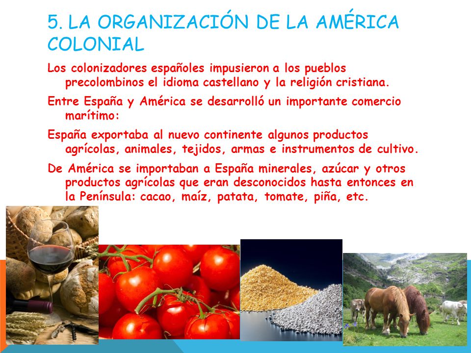 5. La organización de la américa colonial