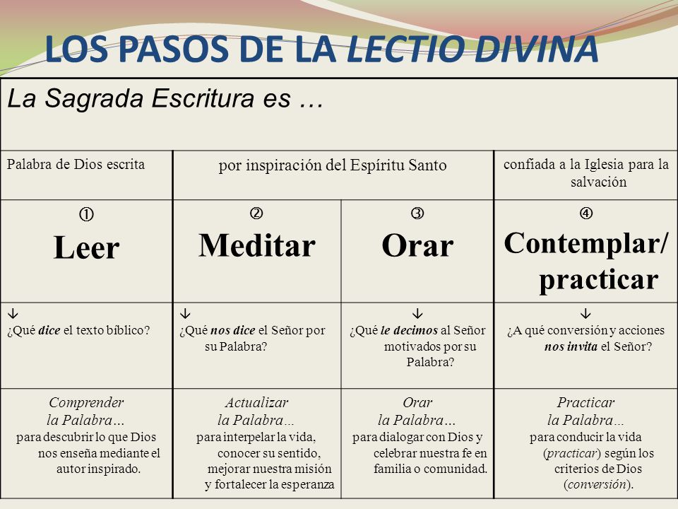 LOS PASOS DE LA LECTIO DIVINA