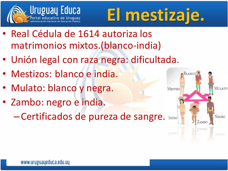 El mestizaje. Real Cédula de 1614 autoriza los matrimonios mixtos.(blanco-india) Unión legal con raza negra: dificultada.