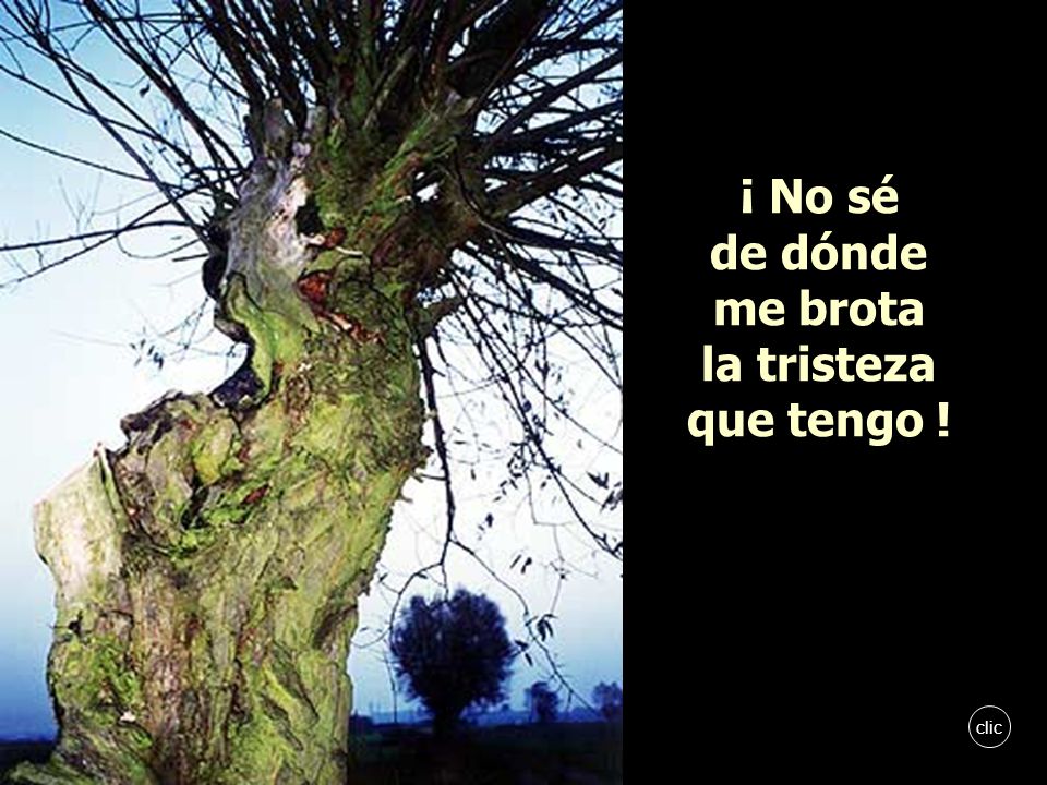 ¡ No sé de dónde me brota la tristeza que tengo !