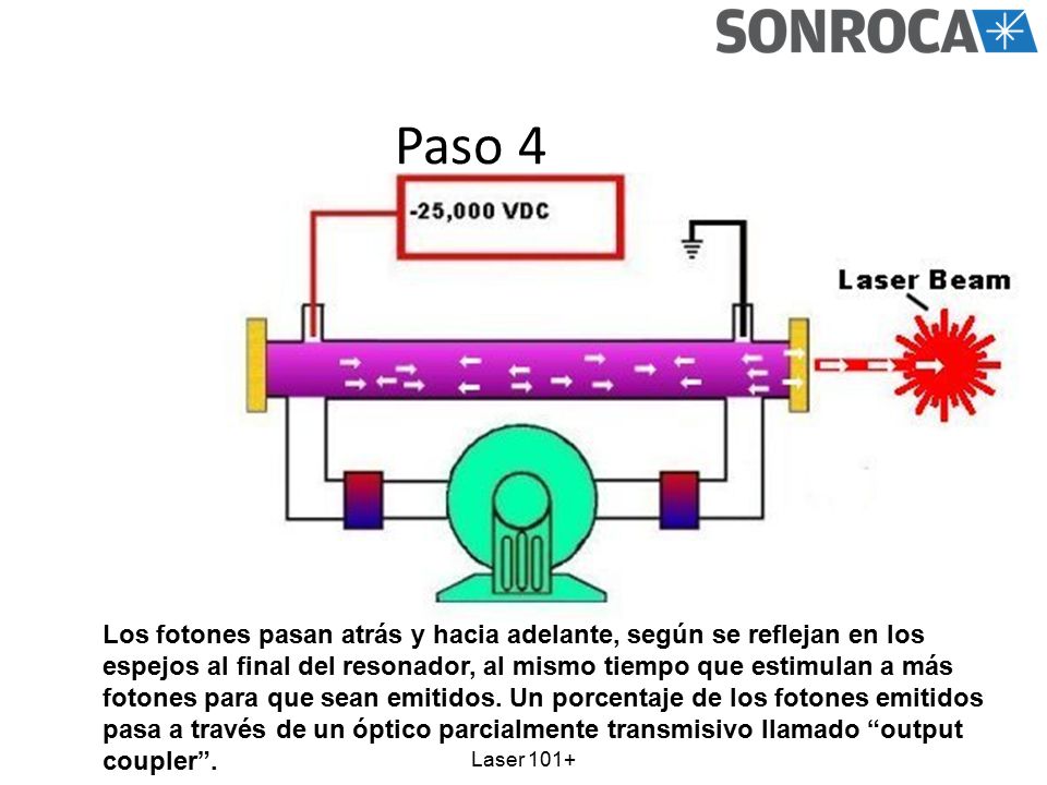 Paso 4